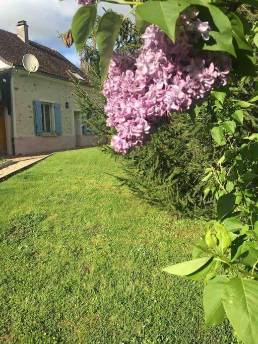 Cottage De Charme A La Campagne Aulnoy Εξωτερικό φωτογραφία